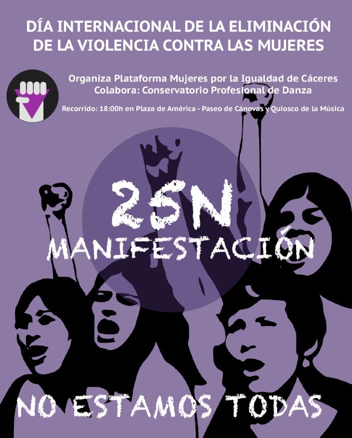 cartel manifestacion 25 n 2024